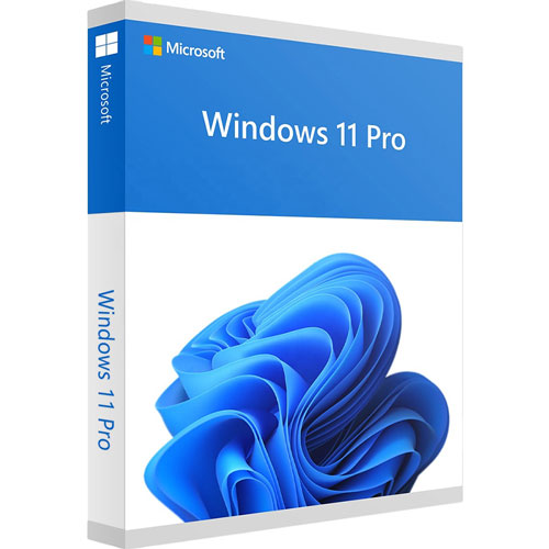 Hệ điều hành Windows 11 Pro 64Bit - key điện tử (FQC-10572)
